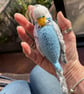 Budgies hand knit customised - Image 7