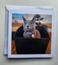 Cat in a Box Square Photographic Card Size 6" x 6" (15cm x 15cm)
