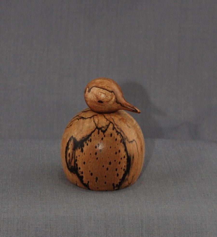 The “Emperor’s” Offspring Penguin