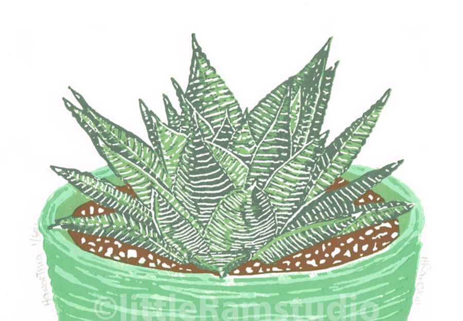 Succulent plant, Haworthia - Original Linocut Reduction Print