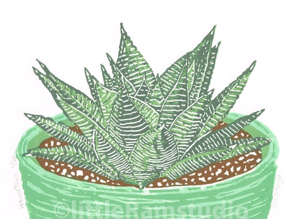 Succulent plant, Haworthia - Original Linocut Reduction Print