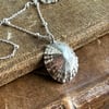 Sterling Silver Real Limpet Shell Necklace 