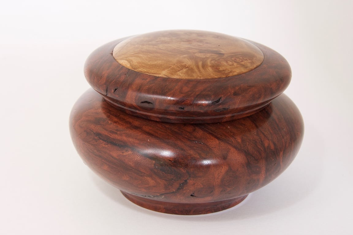 Small Jarrah Burr Trinket Box: York Gum Lid, Jewelry Storage  No.695