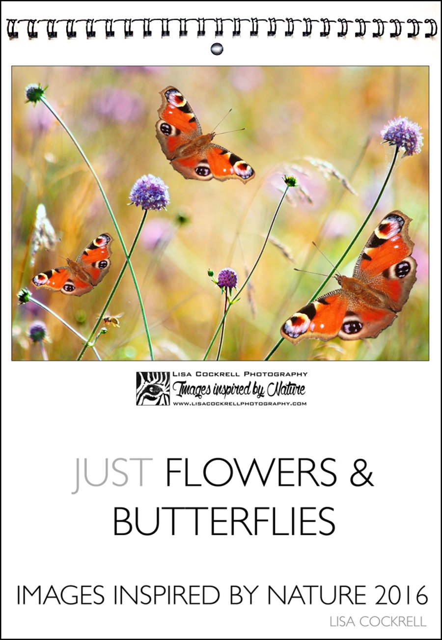Calendar 2016 - Just Flowers & Butterflies