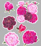 Peony Blooms Printable Sticker Sheet PDF Digital Product - Image 2