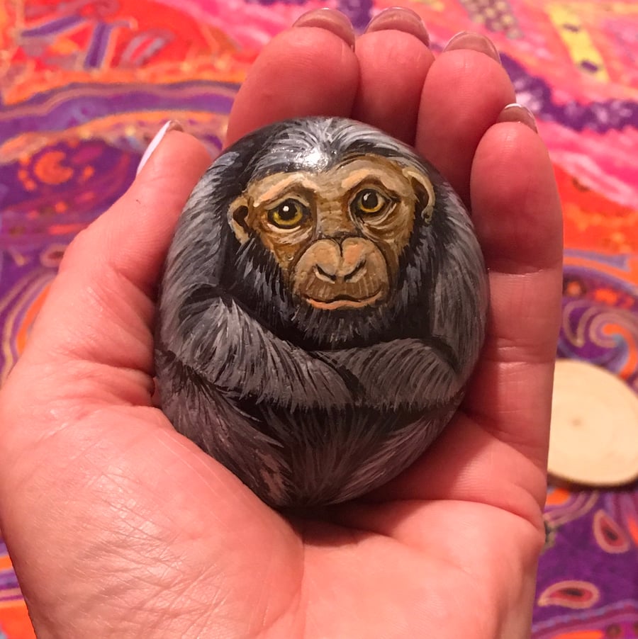  Monkey hand painted pebble garden rock art pet stone portrait 