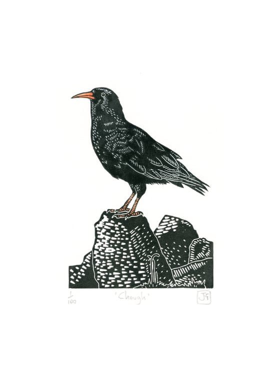 Chough three-colour linocut print