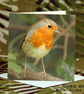 Exclusive Handmade Garden Robin Greetings Card on Archive Photo Paper - Image 1