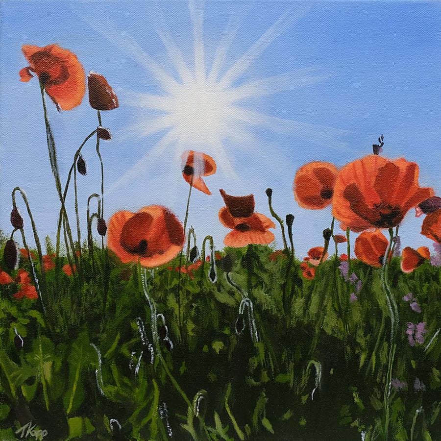Poppies Oil Painting