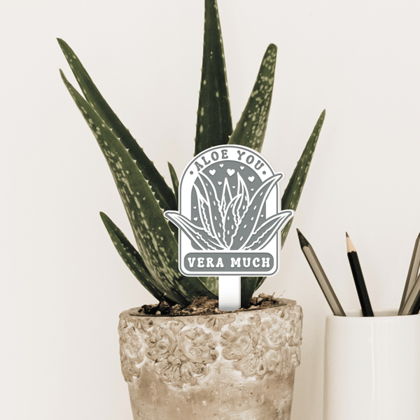 Aloe You Vera Much - Acrylic Plant Tag: Funny Plant Pun, Cute Valentines Gift