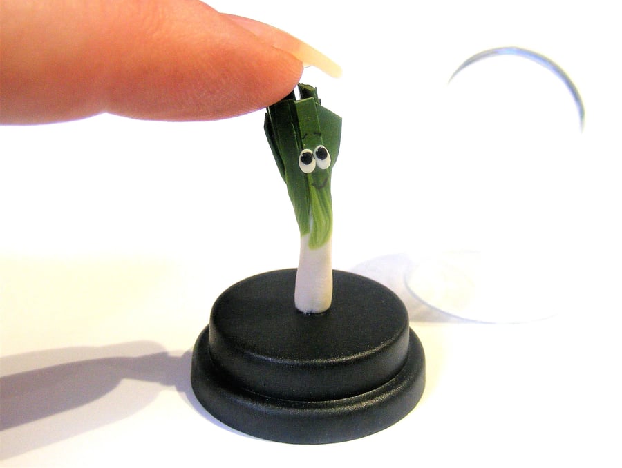 Pet Leek, Veggie gift, Vegan gift, Vegetarian gift, Gardener gift, Welsh, Wales