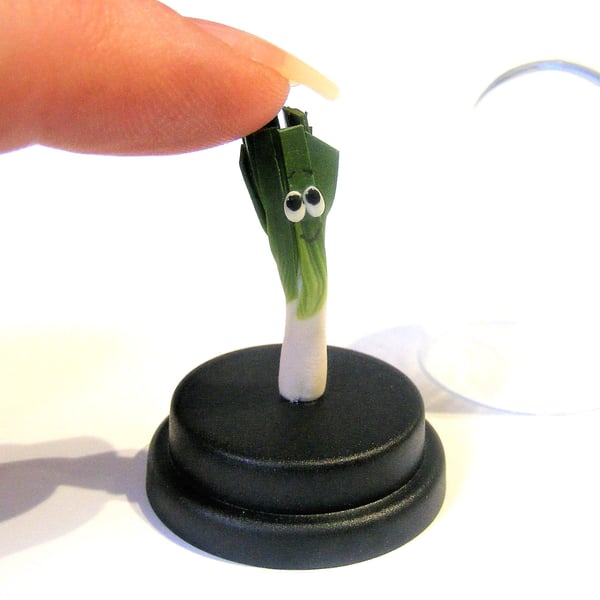 Pet Leek, Veggie gift, Vegan gift, Vegetarian gift, Gardener gift, Welsh, Wales