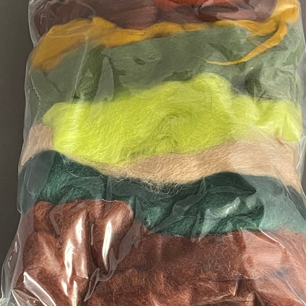100g Wool Fibre Pack - forest colours