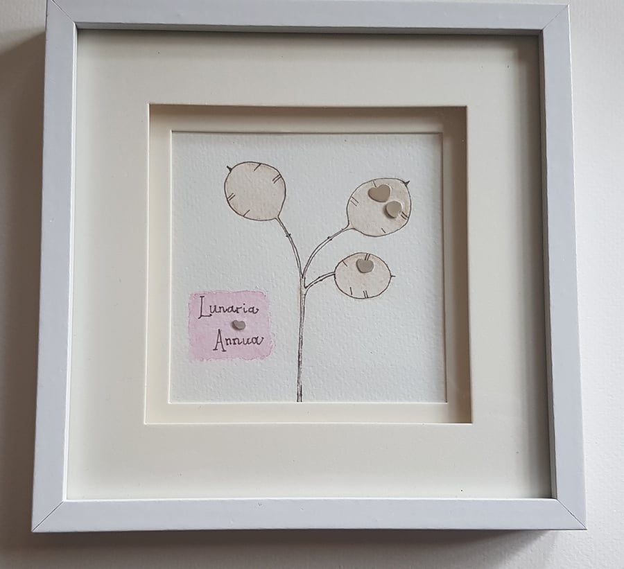 Honesty watercolour with sterling silver seeds picture
