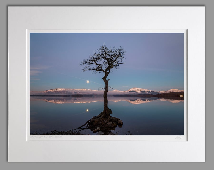 Milarrochy Bay Tree Loch Lomond Scotland - A3 (50x40cm) Unframed Print