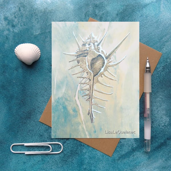 Seashell art card venus comb murex artist card cellophane free