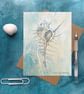 Seashell art card venus comb murex artist card cellophane free