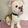 Bulldog Keepsake 