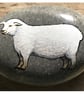 Dorset Sheep - Image 1
