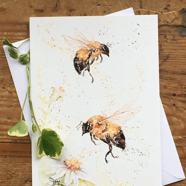 Bees & Daisy Card, Floral Greetings Card, Wildlife Art Card, Birthday Card, Blan