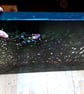 Dissolving Dream abstract dark forest dreamscape landscape painting - Image 8
