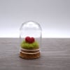 small glass heart in cloche jar