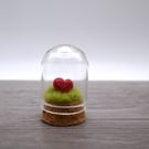 small glass heart in cloche jar