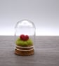 small glass heart in cloche jar