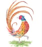 Pheasant original painting 
