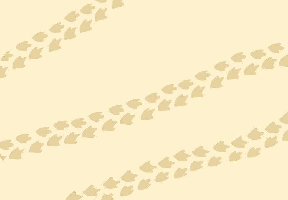 Lil Babs moon and duckies