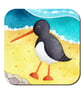 Oystercatcher Coaster. Cute Seaside Watercolour Painting. Coastal Nautical Decor - Image 1