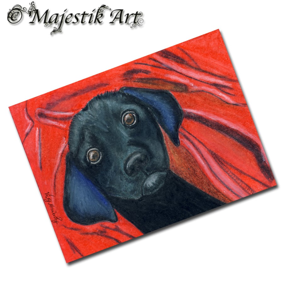 Archival ACEO Labrador Puppy Print 'Blankie' By V Kenworthy