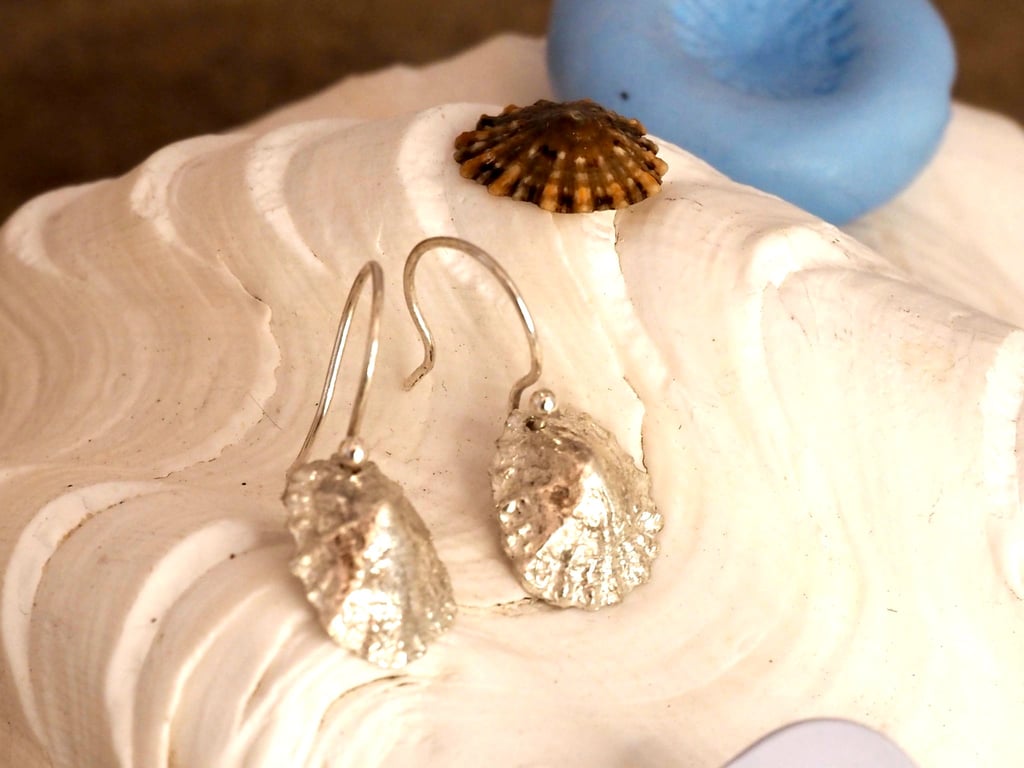 Limpit Love - PMC limpet earrings - hand moulded