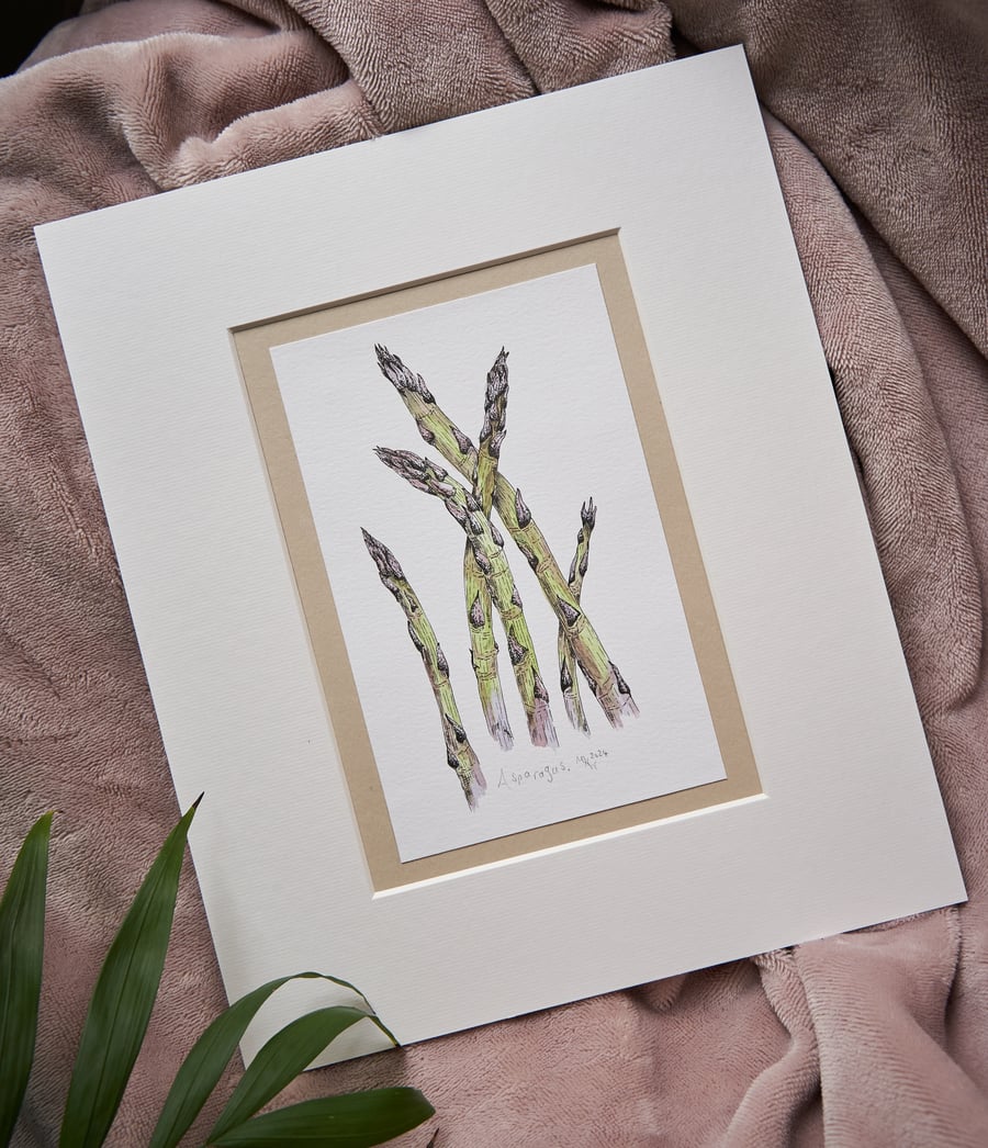 "Asparagus" - original piece, hand-drawn & painted, mounted ready for framing