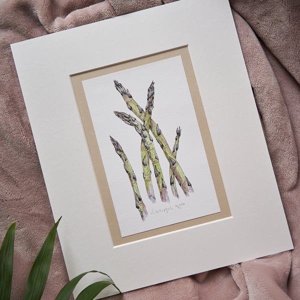 "Asparagus" - original piece, hand-drawn & painted, mounted ready for framing