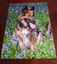 GERMAN SHEPHERD