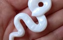 Brooches