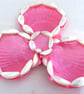 Fuchsia shell trinket dishes with mother of pearl trocha shell - Image 2