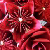 The Crafty Little Paper Shop