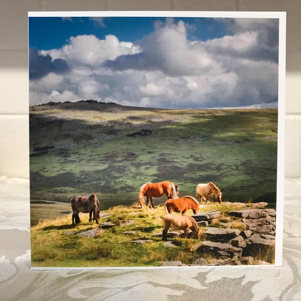 Photographic Greetings Card - Dartmoor Ponies