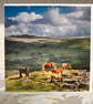 Photographic Greetings Card - Dartmoor Ponies