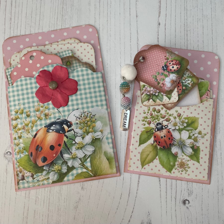 SOLD - Tag Pocket - Set of 2 filled pockets - Ladybird PB11