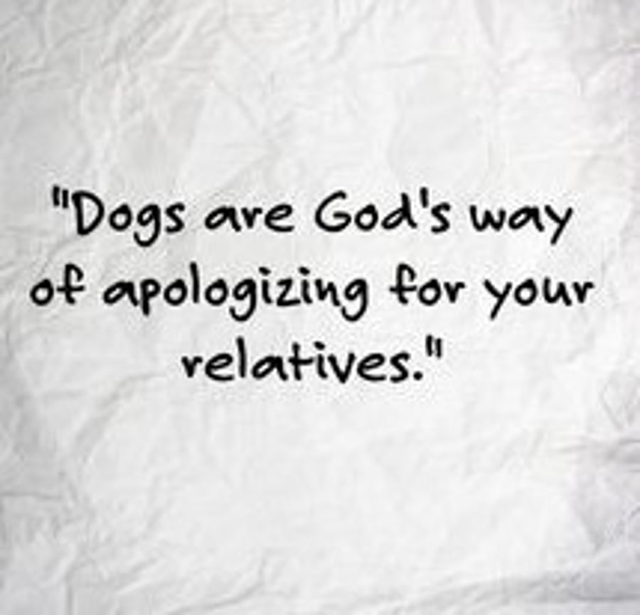 Dogs Are A Gift From God Fridge Magnet