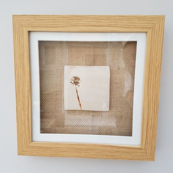 Natural Dandelion Ceramic Tile in Frame