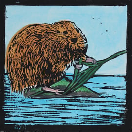 Water Vole lino print, limited edition
