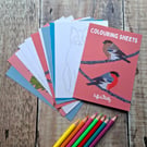Nature Colouring Sheets