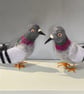 A wool felted gentle pigeon - Image 8