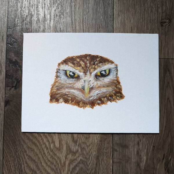 Little Owl Portrait Painting 