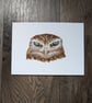 Little Owl Acrylic Portrait Painting  - Image 1