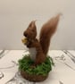 Squirrel needle felted - Image 2